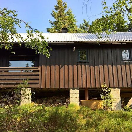 Skogheim Two-Bedroom Cottage Birkeland エクステリア 写真