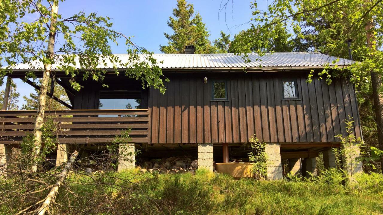 Skogheim Two-Bedroom Cottage Birkeland エクステリア 写真